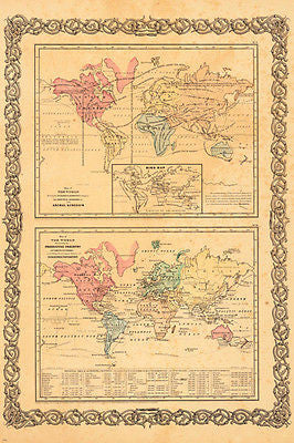 GEOGRAPHICAL distributions of the ANIMAL KINGDOM poster EDUCATIONAL 24X36