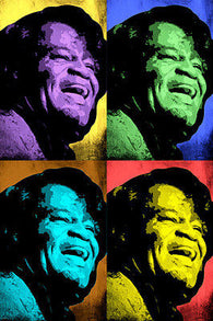 JAMES BROWN celebrity singer MULTIPLE IMAGE pop art poster 24X36 SOUL funk