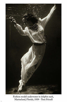 TONI FRISSELL Fashion Model Underwater In Dolphin Tank PHOTO POSTER 24X36