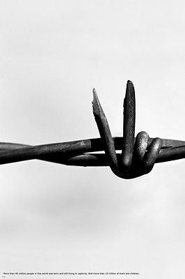 Barbed Wire V For Victory Escape from captivity POSTER 24X36 Symbolic ART