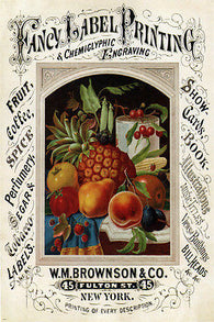 business advertisement vintage ad poster united states 1875 24X36 collectors