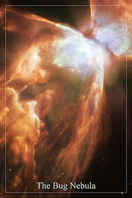 THE BUG NEBULA Hubble Space Telescope image POSTER 24X36 surprising details