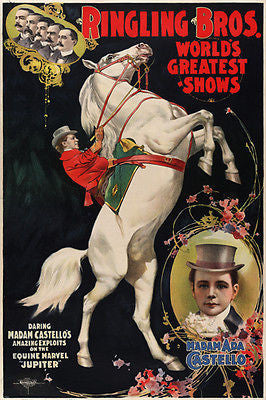 MADAM ADA CASTELLO & JUPITER circus ad poster 1899 for RINGLING BROS 24X36