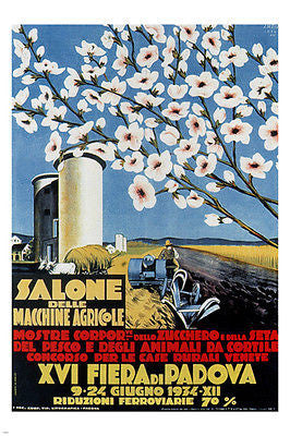 Exhibition of Agricultural Machines Padova Poster A Menegazzo Italy '34 24X36