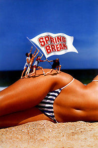 SPRING BREAK movie POSTER bikini body beach college guys COMEDY sexy 24X36
