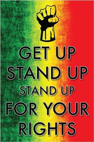 stand UP for your RIGHTS motivational CIVIL ACTION POSTER colorful 24X36