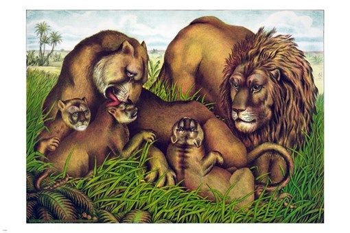 the lion family VINTAGE FINE ART POSTER 1874 24X36 animal painting