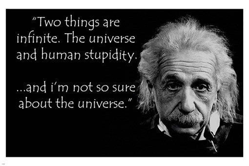 ALBERT EINSTEIN human stupidity quote poster 24X36 funny INSPIRATIONAL New - QW0
