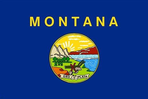 official historic political hot new MONTANA STATE FLAG picturesque 24X36