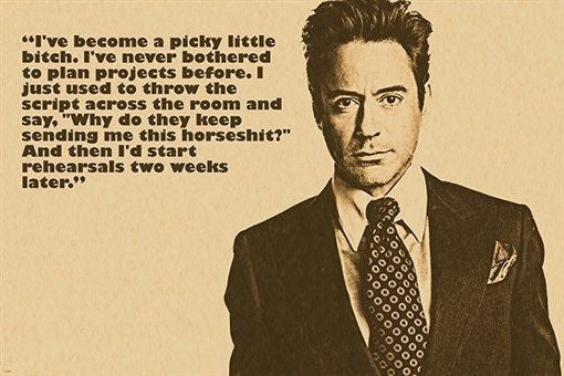robert downey jr. actor celebrity PHOTO QUOTE POSTER picky little bitch HOT