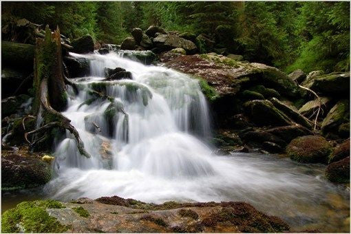 CLASSIC WATERFALL nature photo poster OUTDOORS rocks evergreens 24X36 NEW