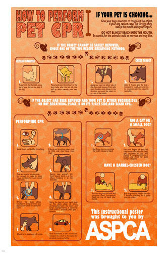 PET CPR INSTRUCTIONAL POSTER 24X36 unique educational animal-friendly HOT NEW