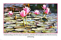 LOTUS FLOWER inspirational poster JK ROWLING quote 24X36 therapeutic PRIZED