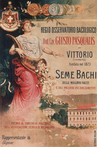 Regio Osservatorio Bacologico VINTAGE AD POSTER Majetta ITALY 1910 rare hot