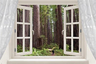 REDWOODS SEQUOIA scenic window poster TALL TREE GROVE unique new 24X36 GEM