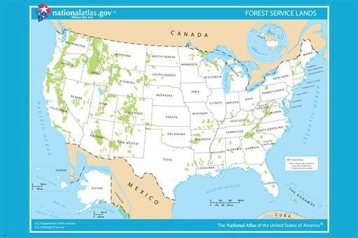 USA forest service LAND MAP poster 24X36 educational GREAT FOR SCHOOLS