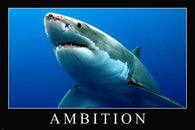 GREAT WHITE SHARK ambition motivational poster 24X36 PERSISTENCE empowering
