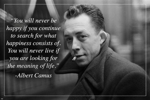 ALBERT CAMUS french writer MOTIVATIONAL & INSPIRATIONAL quote poster 24X36
