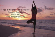 TREE POSE YOGA POSTER inspirational QUOTE MOTIVATIONAL sunset ocean 24X36