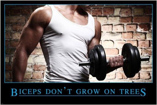 BICEPS DON'T GROW ON TREES inspirational/motivational FITNESS POSTER 24X36