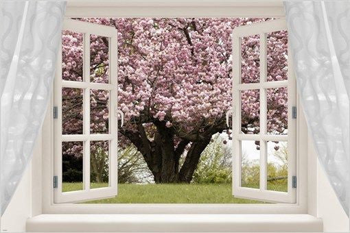 WINDOW into CHERRY TREE beautiful spring INSPIRATIONAL photo poster 24X36