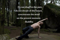 YOGA in mossy wood INSPIRATIONAL poster BUDDHA QUOTE strong pose 24X36 RARE