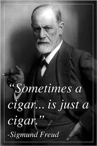 FATHER of psychoanalysis SIGMUND FREUD inspirational quote poster 24X36 GEM