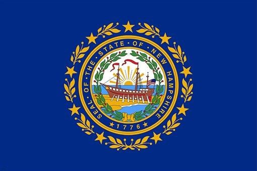 NEW HAMPSHIRE official flag POSTER political COLLECTORS symbolic 24X36 HOT