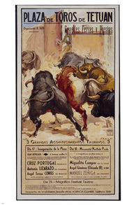 PLAZA DE TOROS BULLFIGHT vintage poster spain 1955 24X36 HORNS bulls NEW - QW0