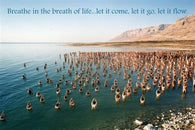 DEAD SEA BATHERS inspirational poster YOGA quote historic 24X36 NEW RARE