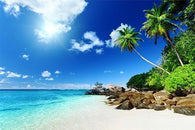 white sand beach beautiful PHOTO POSTER fantasy island blue skies 24X36 NEW
