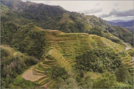 banaeu PHILIPPINES nature poster RICE TERRACES unique geological 24X36 RARE