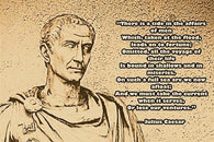 historic political quote poster JULIUS CAESAR THE AFFAIRS OF MEN 24X36 new