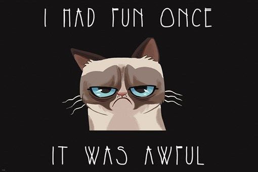 I had FUN once it was AWFUL CAT poster 24X36 HILARIOUS expression TOP notch