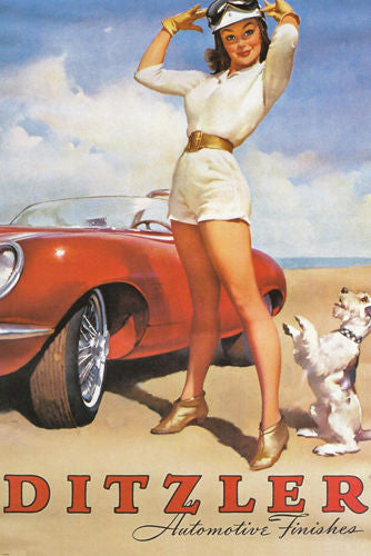 DITZLER AUTOMOTIVE FINISHES SEXY GIRL poster tall brunette car dog 24x36 -RW0