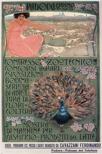 congress husbandry VINTAGE POSTER italy 1903 24X36 bright peacock HOT NEW