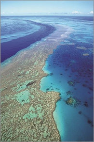 GREAT BARRIER REEF ocean landscape COLORFUL NATURAL one-of-a-kind 24X36 RARE