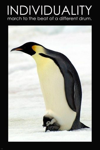 Emperor Penguin Individuality Motivational Poster 24x36 ANIMAL LOVERS CUTE