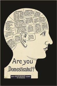 HUDSON'S SOAP vintage ad poster BRAINY HYGIENE are you DOMESTICATED? 24X36