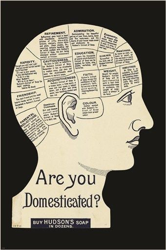 HUDSON'S SOAP vintage ad poster BRAINY HYGIENE are you DOMESTICATED? 24X36