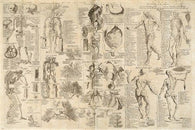 ANATOMICAL CHART CYCLOPAEDIA poster of human body detailed 1728 24X36   - SW0