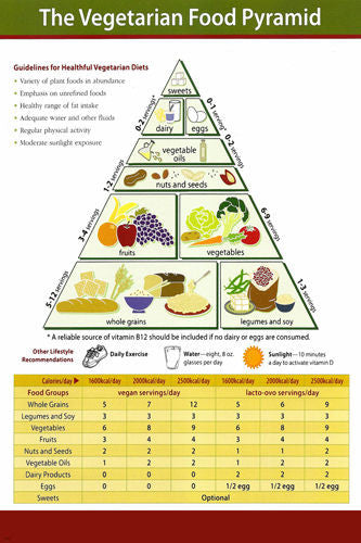 VEGETARIAN FOOD PYRAMID EDUCATIONAL POSTER 24X36 healthy living HOT NEW RARE
