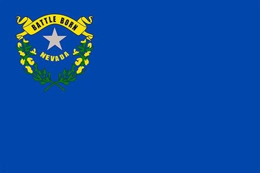 nevada official STATE FLAG POSTER collectors historic political 24X36 HOT