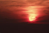 journey to the sun photo poster GOLDEN LIGHT PICTURESQUE LANDSCAPE 24X36 hot