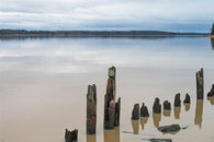 poles photo poster WATER WOOD COLLECTORS picturesque CONTEMPORARY ART 24X36