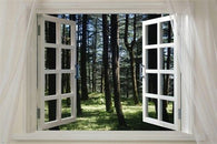 WINDOW INTO THE FOREST scenic poster grass trees sunlight 24X36 peaceful