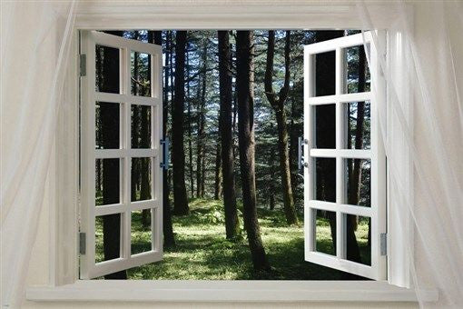 WINDOW INTO THE FOREST scenic poster grass trees sunlight 24X36 peaceful