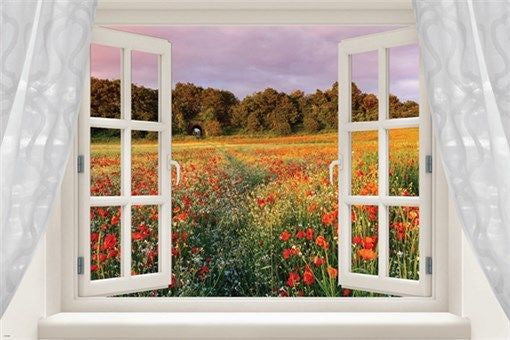 window poster into LOVELY FIELD OF WILDFLOWERS colorful poppies 24X36 HOT