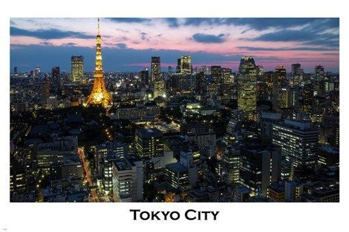 TOKYO cityscape POSTER 24X36 illuminated VIOLET-PINK sky rare AWESOME new!