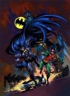 BATMAN AND ROBIN POSTER Comics RARE HOT NEW 24x36